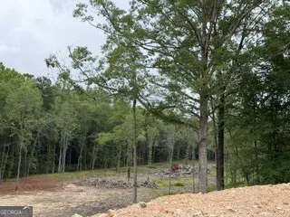 2180 Dunn RD Molena, GA 30258