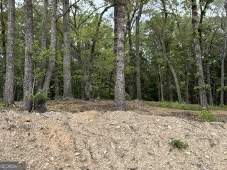 2180 Dunn RD Molena, GA 30258