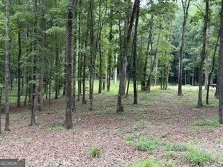 2180 Dunn RD Molena, GA 30258