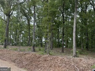 2180 Dunn RD Molena, GA 30258