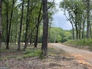 2180 Dunn RD Molena, GA 30258