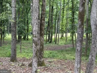 2180 Dunn RD Molena, GA 30258