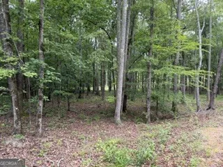 2180 Dunn RD Molena, GA 30258