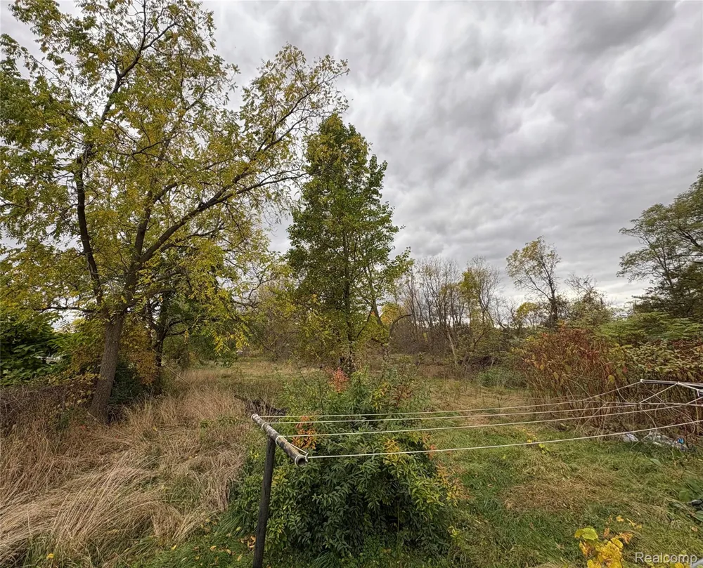 328 W Mt Morris Street Mt Morris City, MI 48458