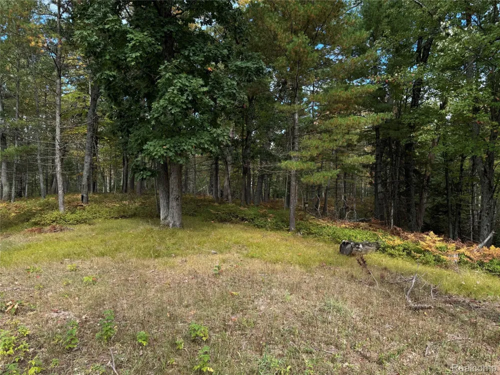 9246 Outing Place Grayling City, MI 49738