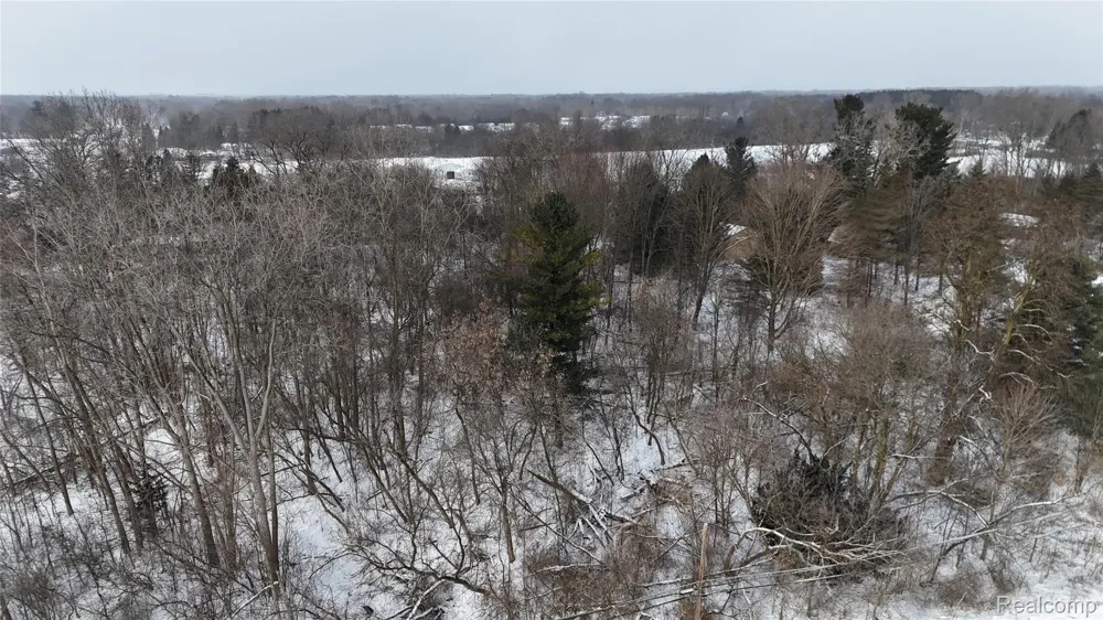 Davison Road Davison Township, MI 48423