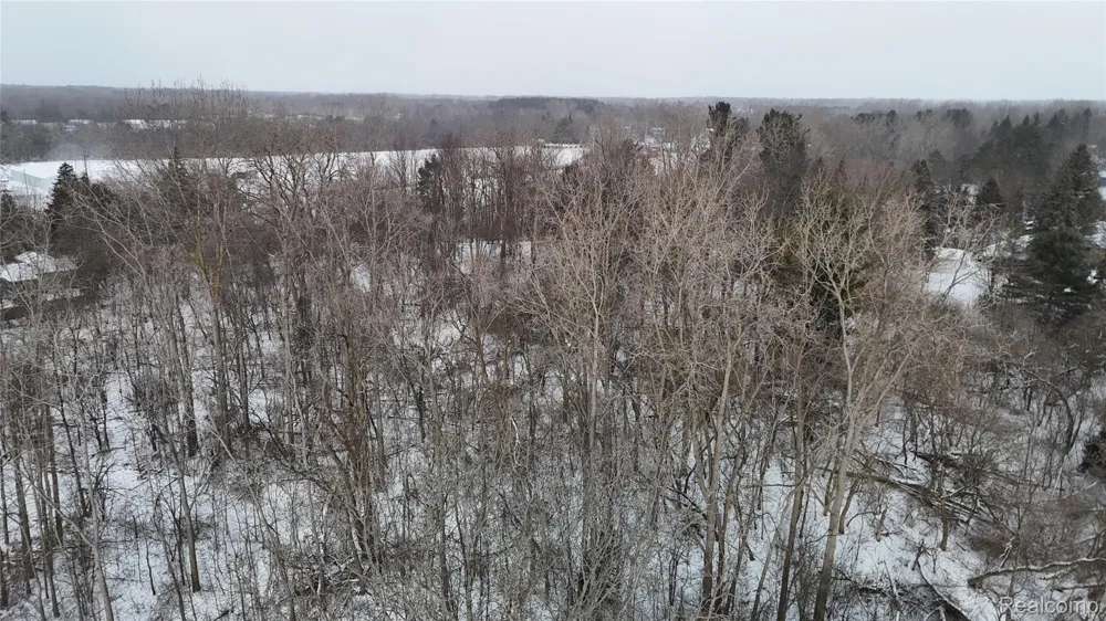 Davison Road Davison Township, MI 48423