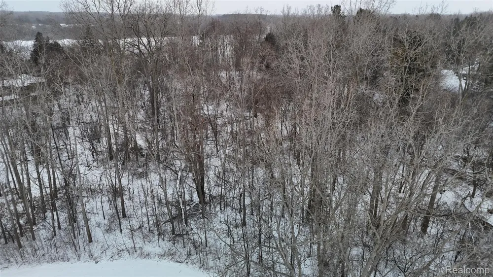Davison Road Davison Township, MI 48423