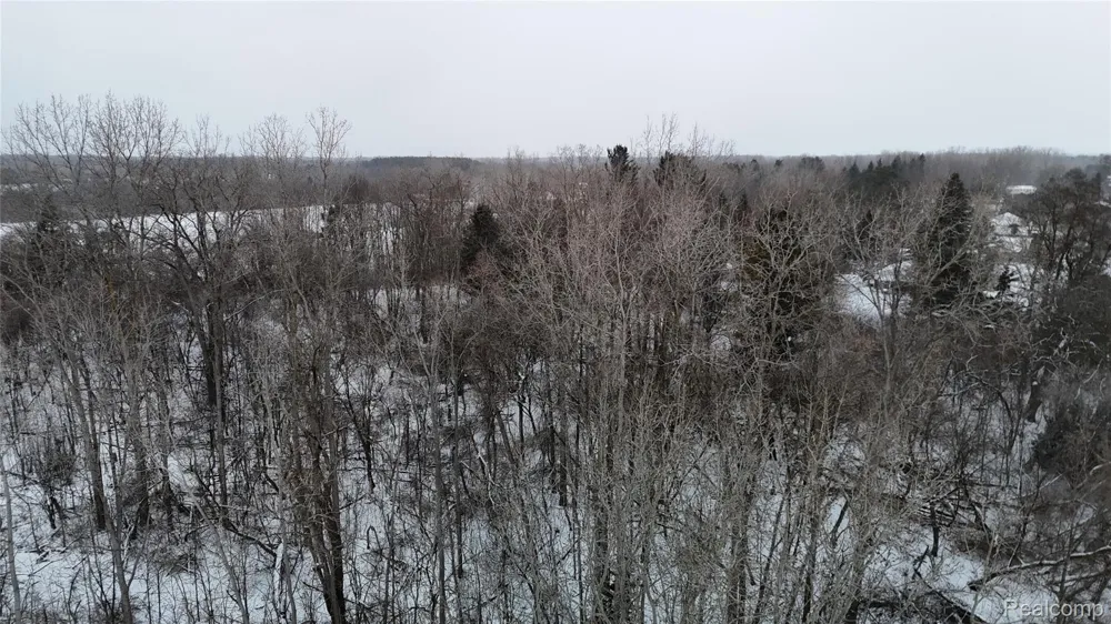 Davison Road Davison Township, MI 48423