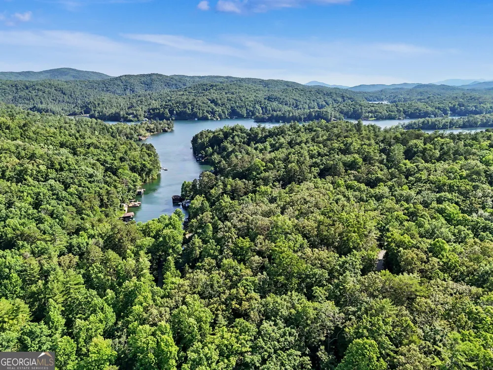 276 Fulton RD Tiger, GA 30576