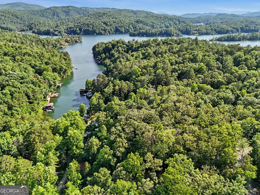 276 Fulton RD Tiger, GA 30576