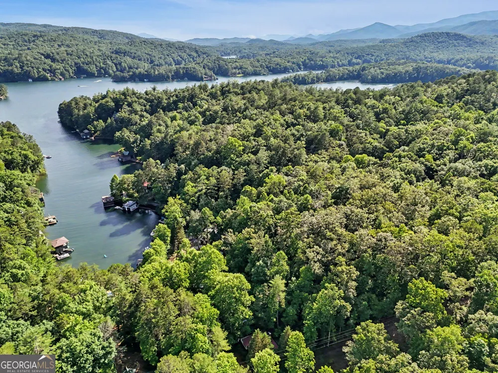276 Fulton RD Tiger, GA 30576