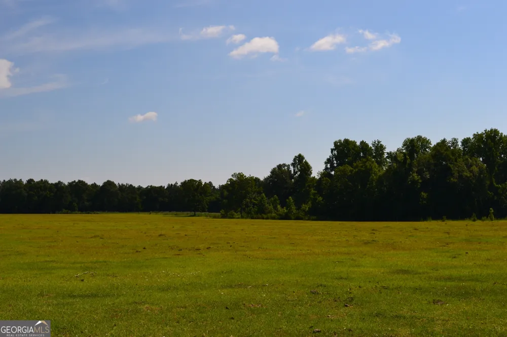 BISHOP Canoochee RD Midville, GA 30441