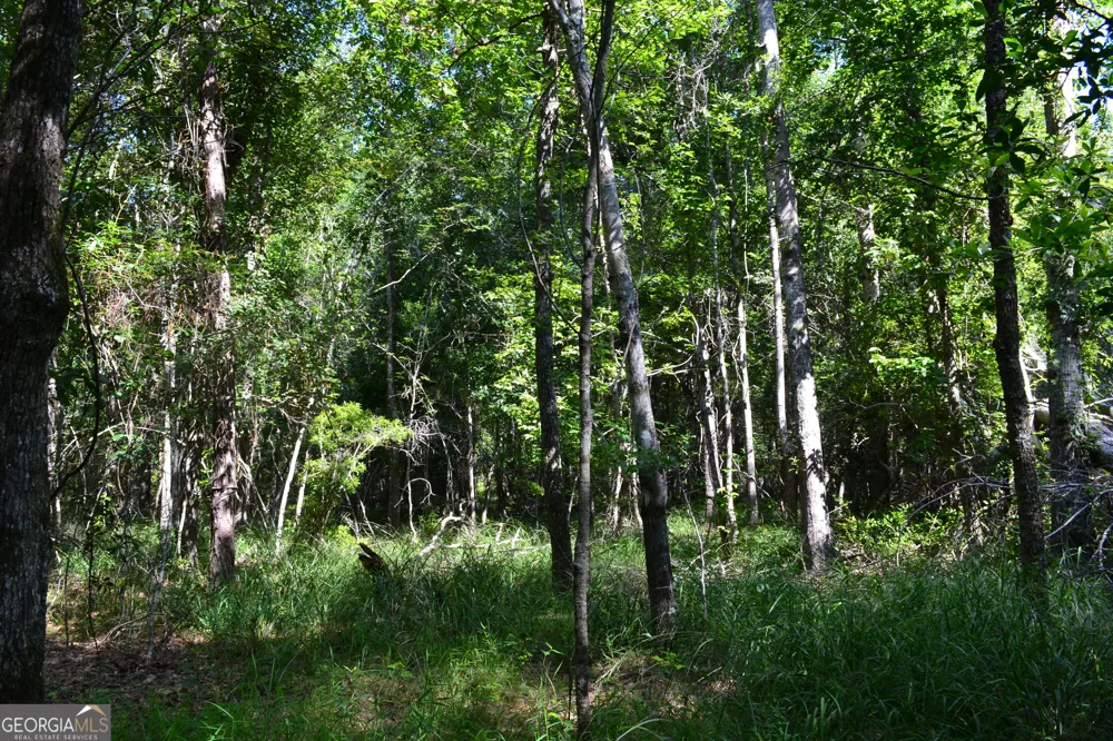 BISHOP Canoochee RD Midville, GA 30441
