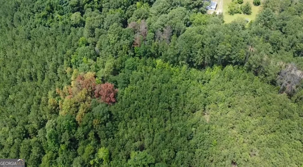 11670 Ga Highway 18 Pine Mountain, GA 31822