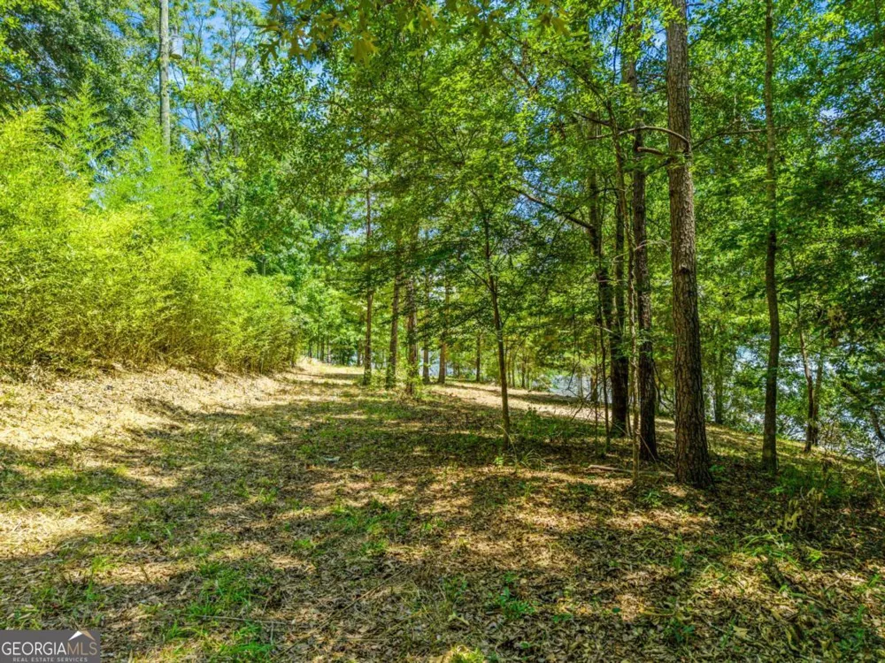 0 Foxglove DR Sparta, GA 31087
