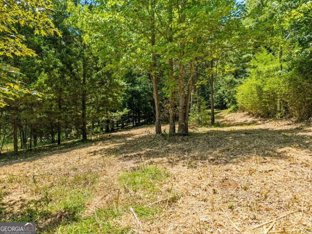 0 Foxglove DR Sparta, GA 31087