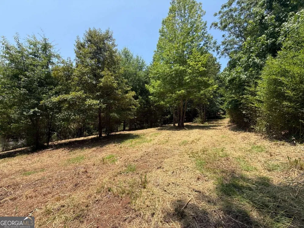 0 Foxglove DR Sparta, GA 31087