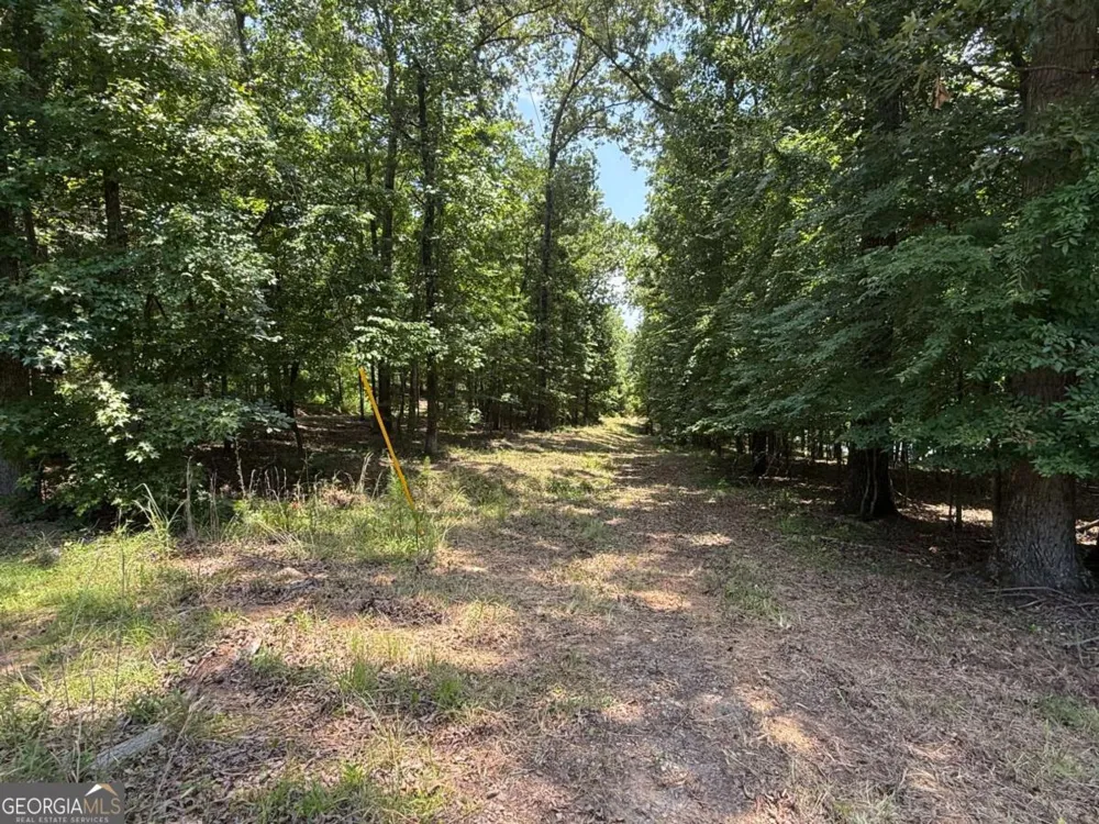 0 Foxglove DR Sparta, GA 31087