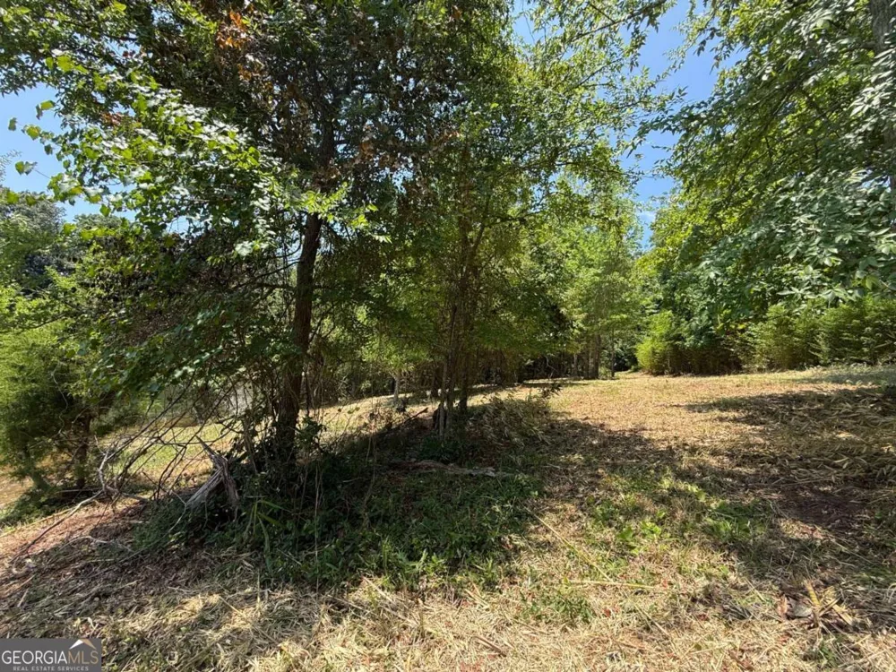 0 Foxglove DR Sparta, GA 31087