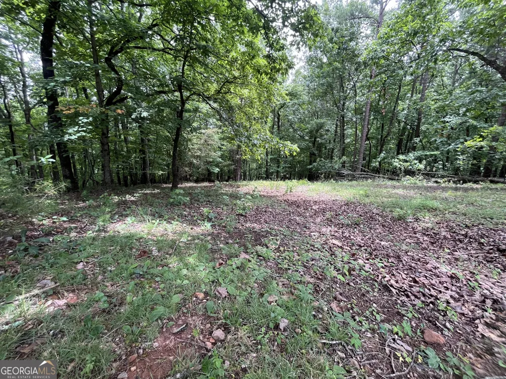 0 White Stone DR Cleveland, GA 30528
