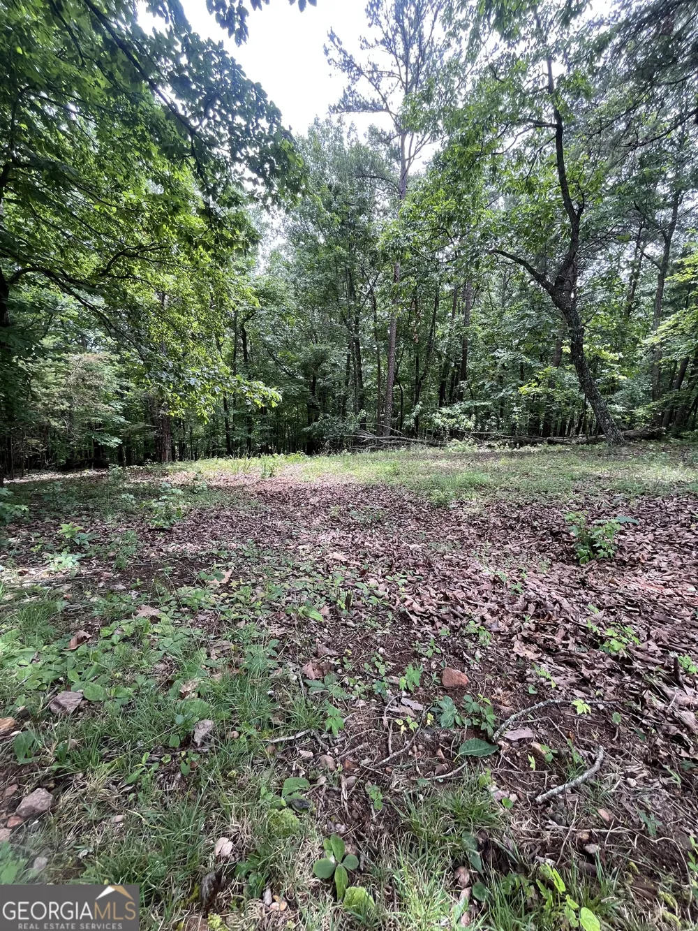 0 White Stone DR Cleveland, GA 30528