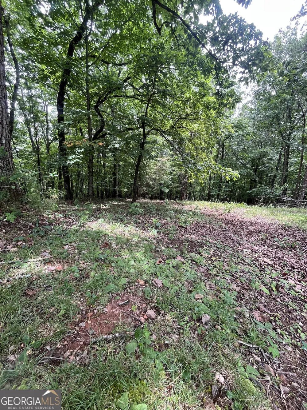 0 White Stone DR Cleveland, GA 30528