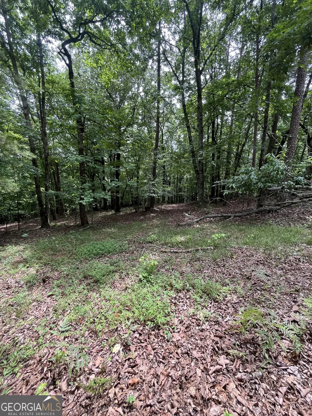 0 White Stone DR Cleveland, GA 30528