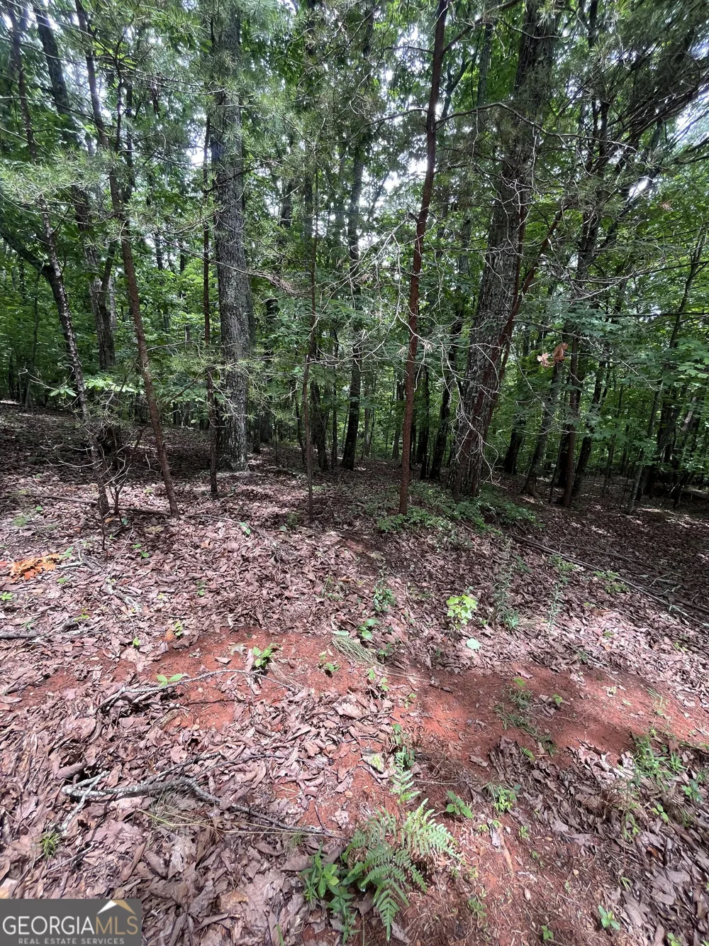 0 White Stone DR Cleveland, GA 30528