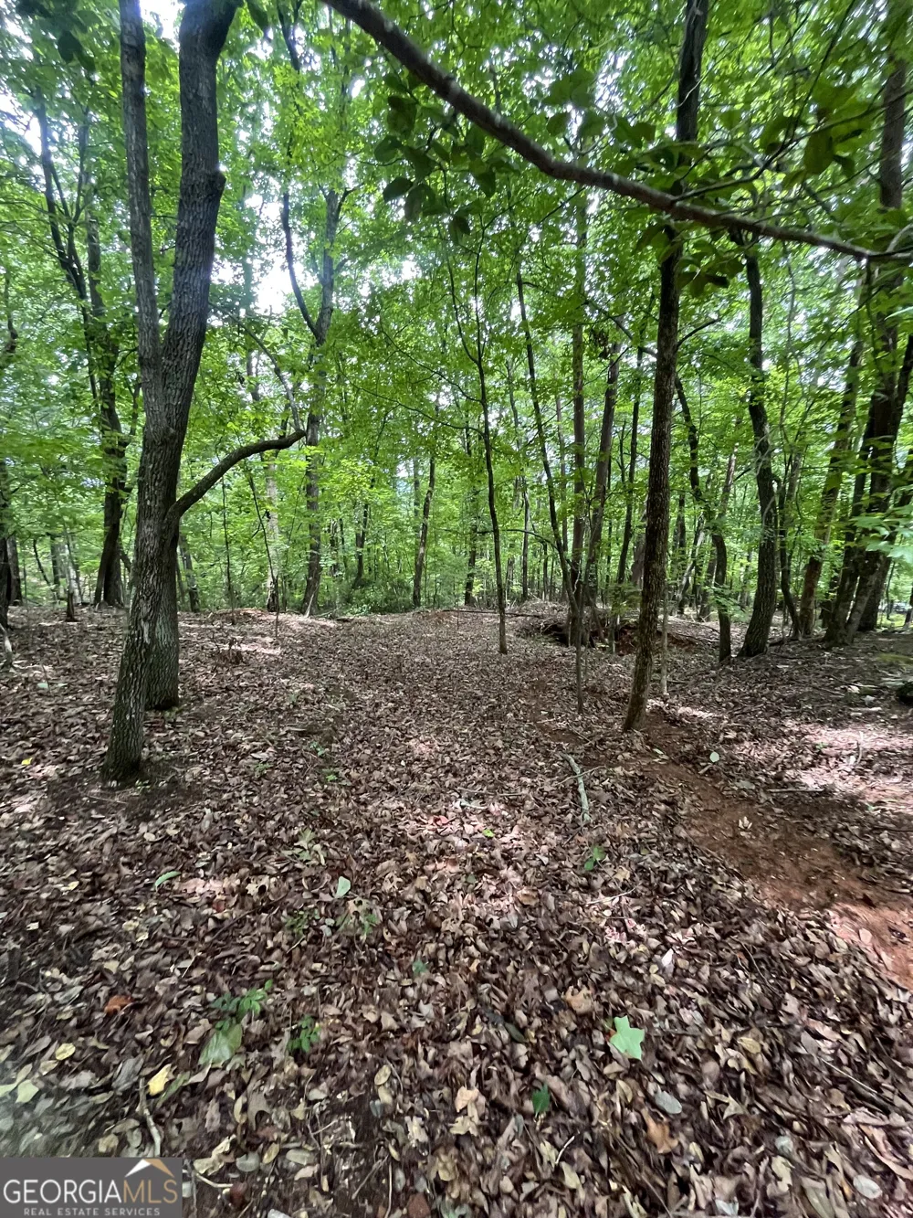 0 White Stone DR Cleveland, GA 30528