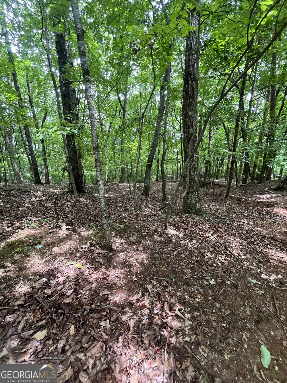 0 White Stone DR Cleveland, GA 30528