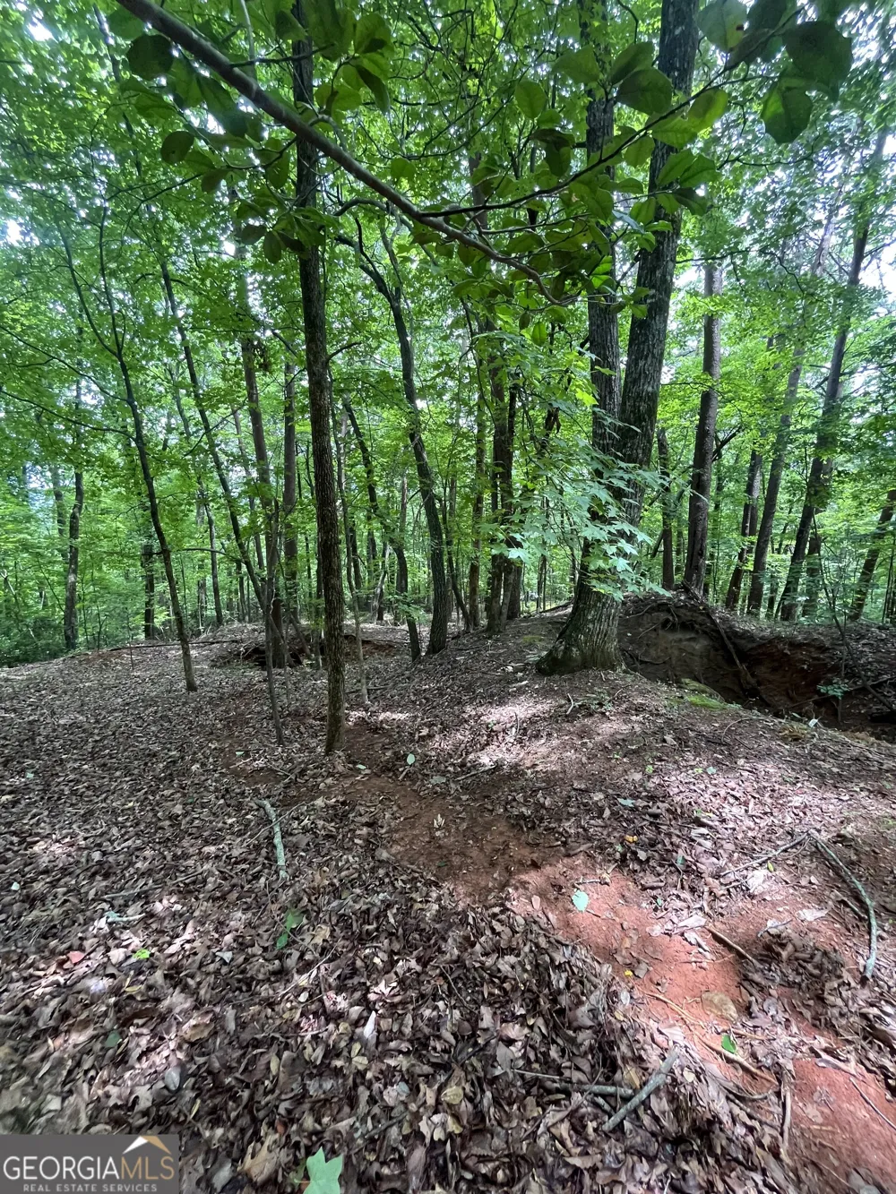 0 White Stone DR Cleveland, GA 30528