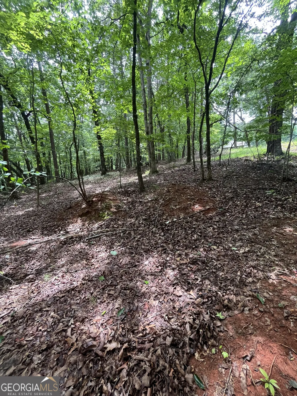0 White Stone DR Cleveland, GA 30528
