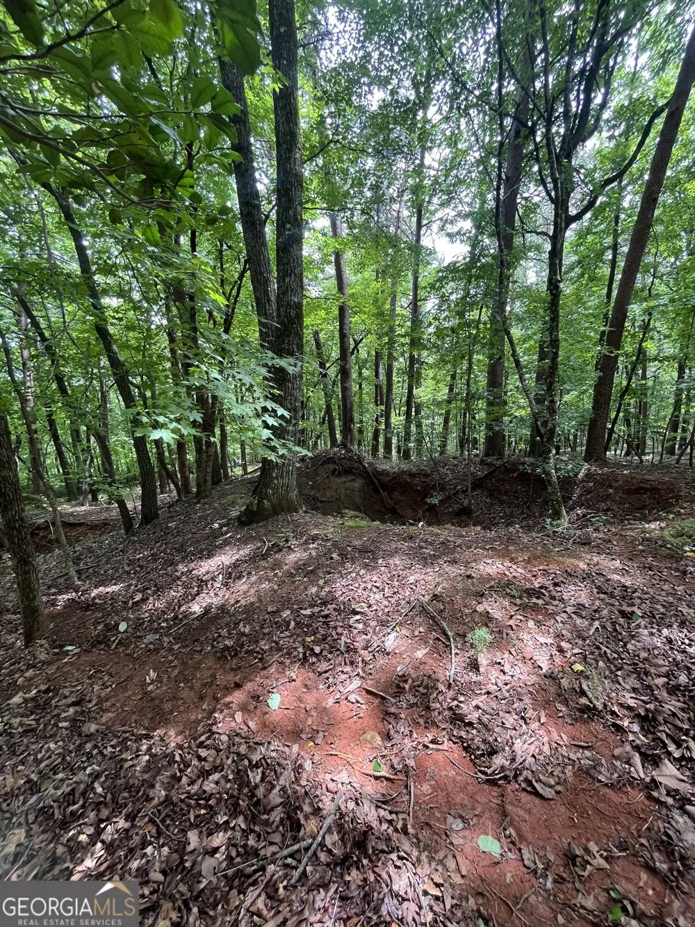 0 White Stone DR Cleveland, GA 30528