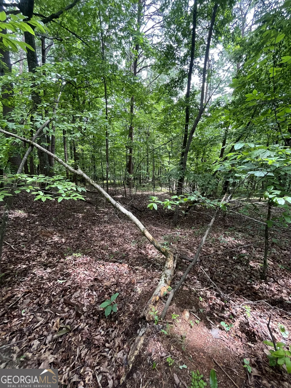 0 White Stone DR Cleveland, GA 30528