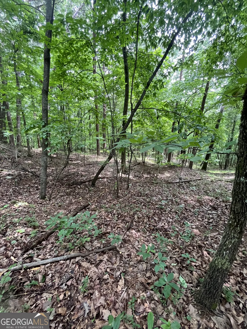 0 White Stone DR Cleveland, GA 30528