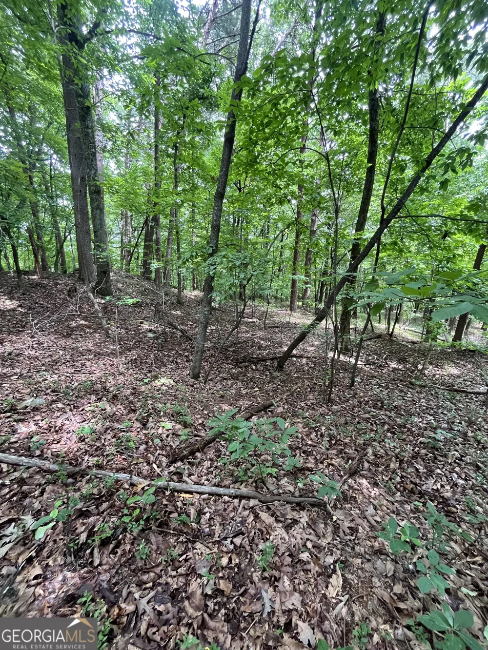 0 White Stone DR Cleveland, GA 30528