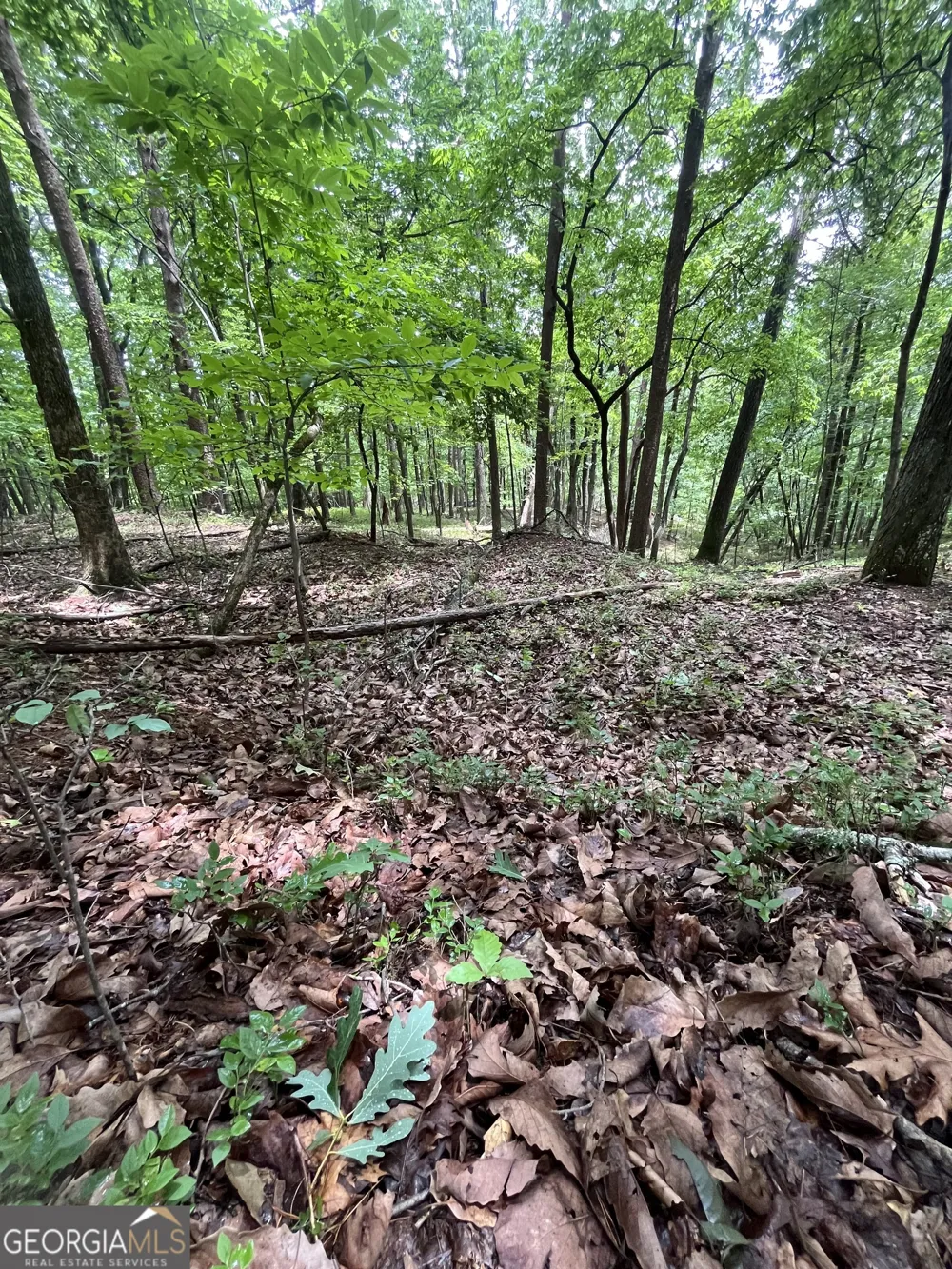 0 White Stone DR Cleveland, GA 30528