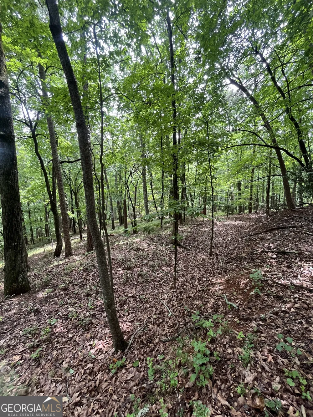 0 White Stone DR Cleveland, GA 30528