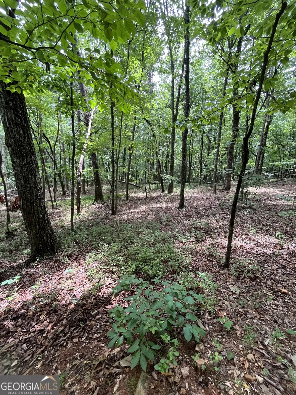 0 White Stone DR Cleveland, GA 30528