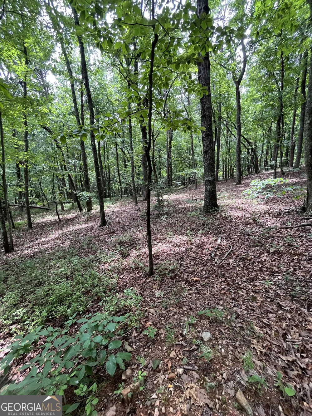0 White Stone DR Cleveland, GA 30528