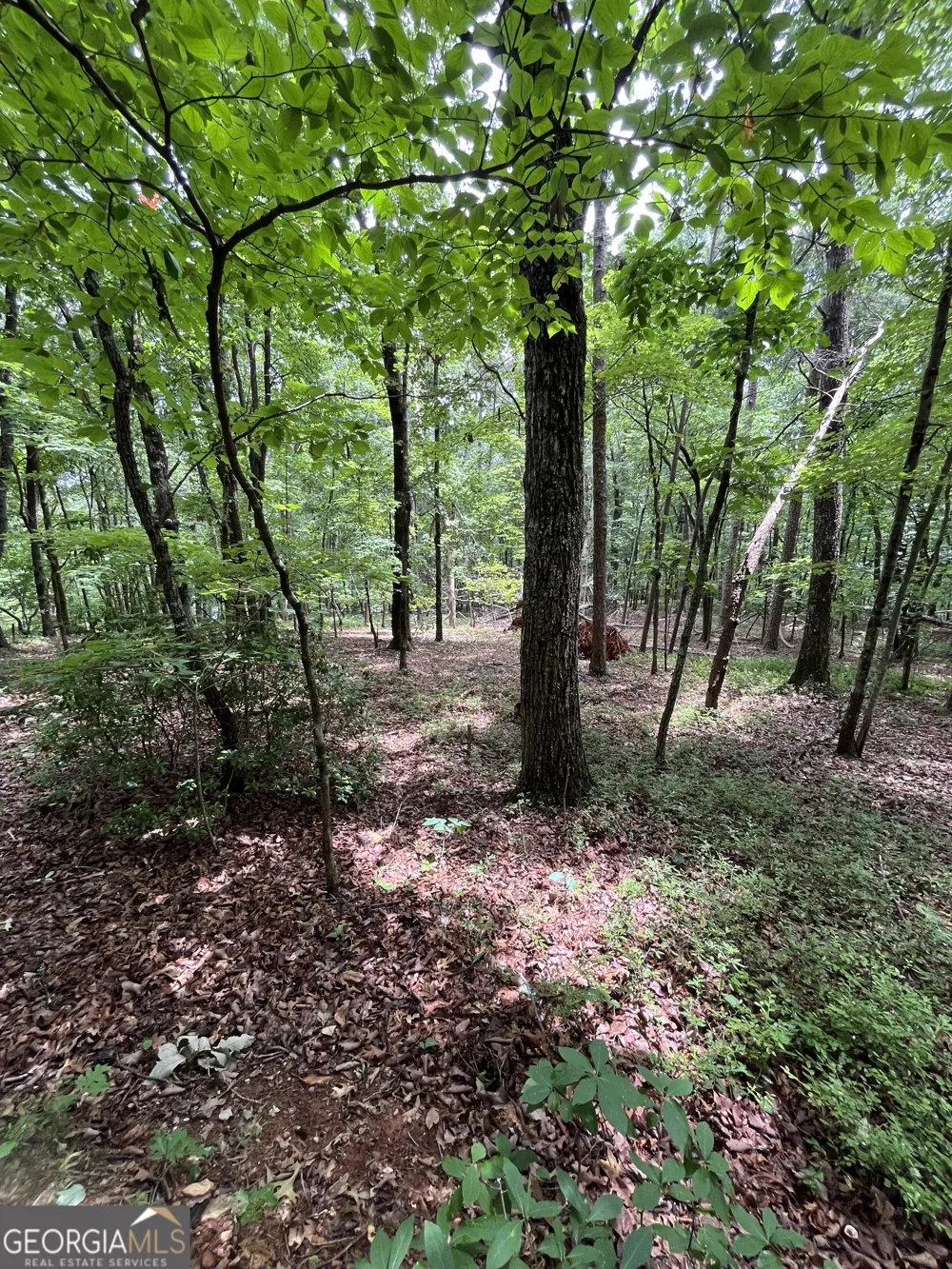 0 White Stone DR Cleveland, GA 30528