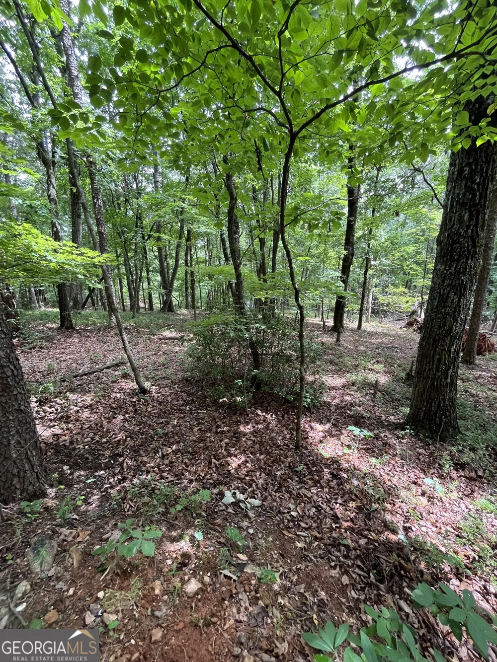 0 White Stone DR Cleveland, GA 30528