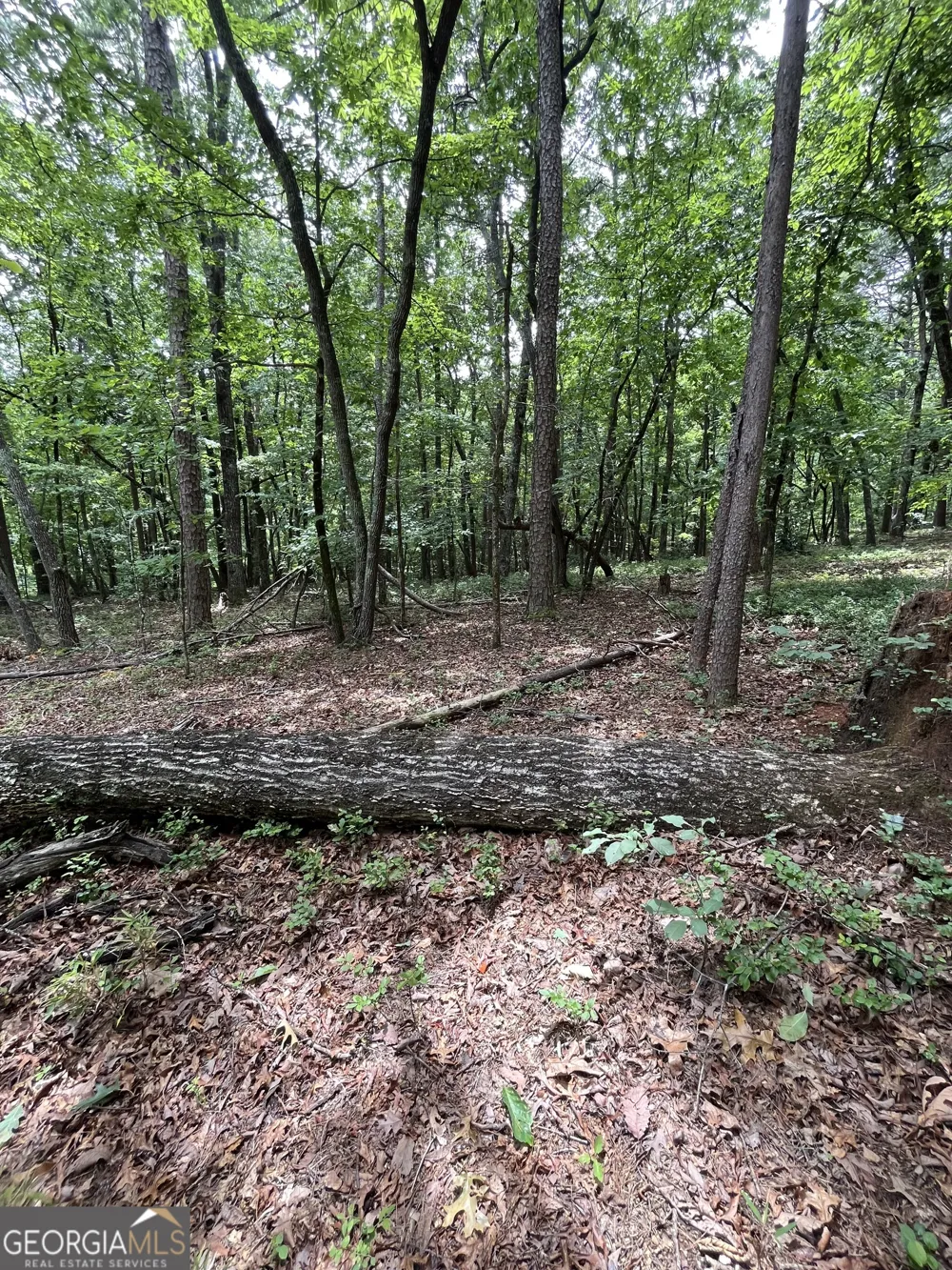 0 White Stone DR Cleveland, GA 30528