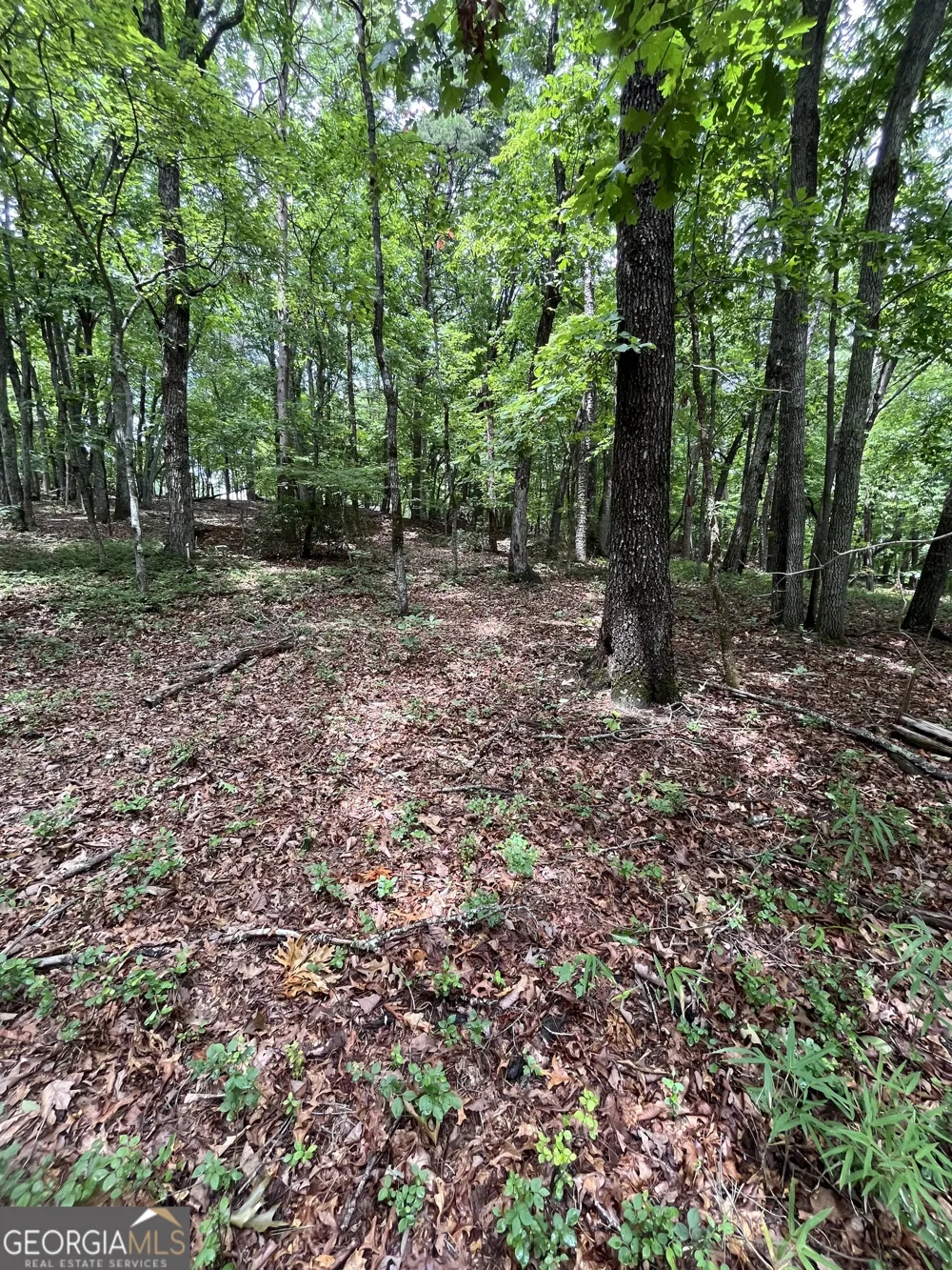 0 White Stone DR Cleveland, GA 30528