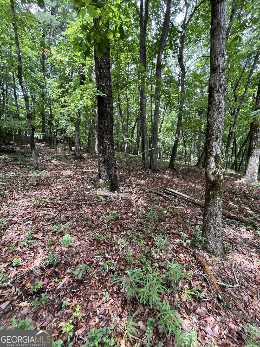 0 White Stone DR Cleveland, GA 30528