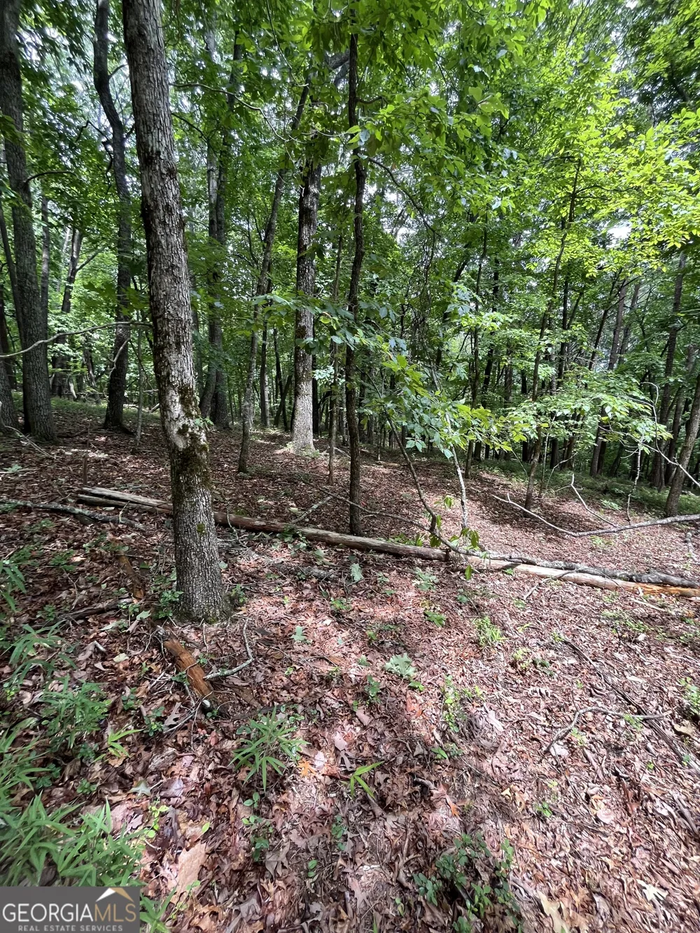 0 White Stone DR Cleveland, GA 30528