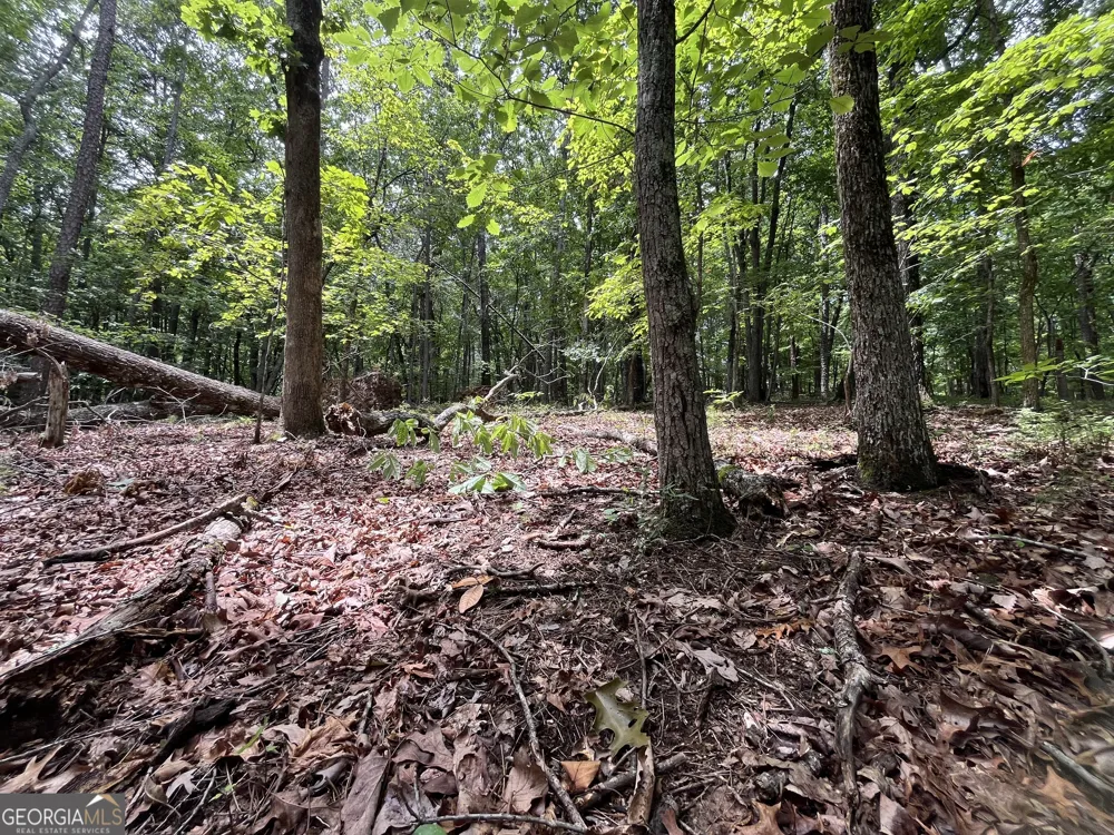 0 White Stone DR Cleveland, GA 30528