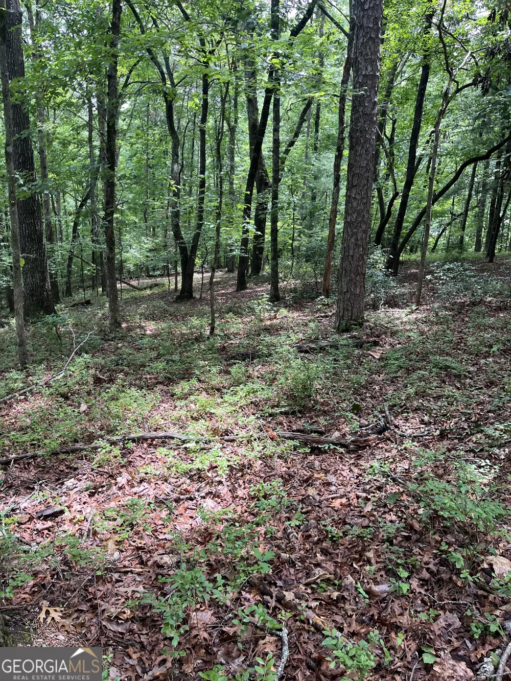 0 White Stone DR Cleveland, GA 30528