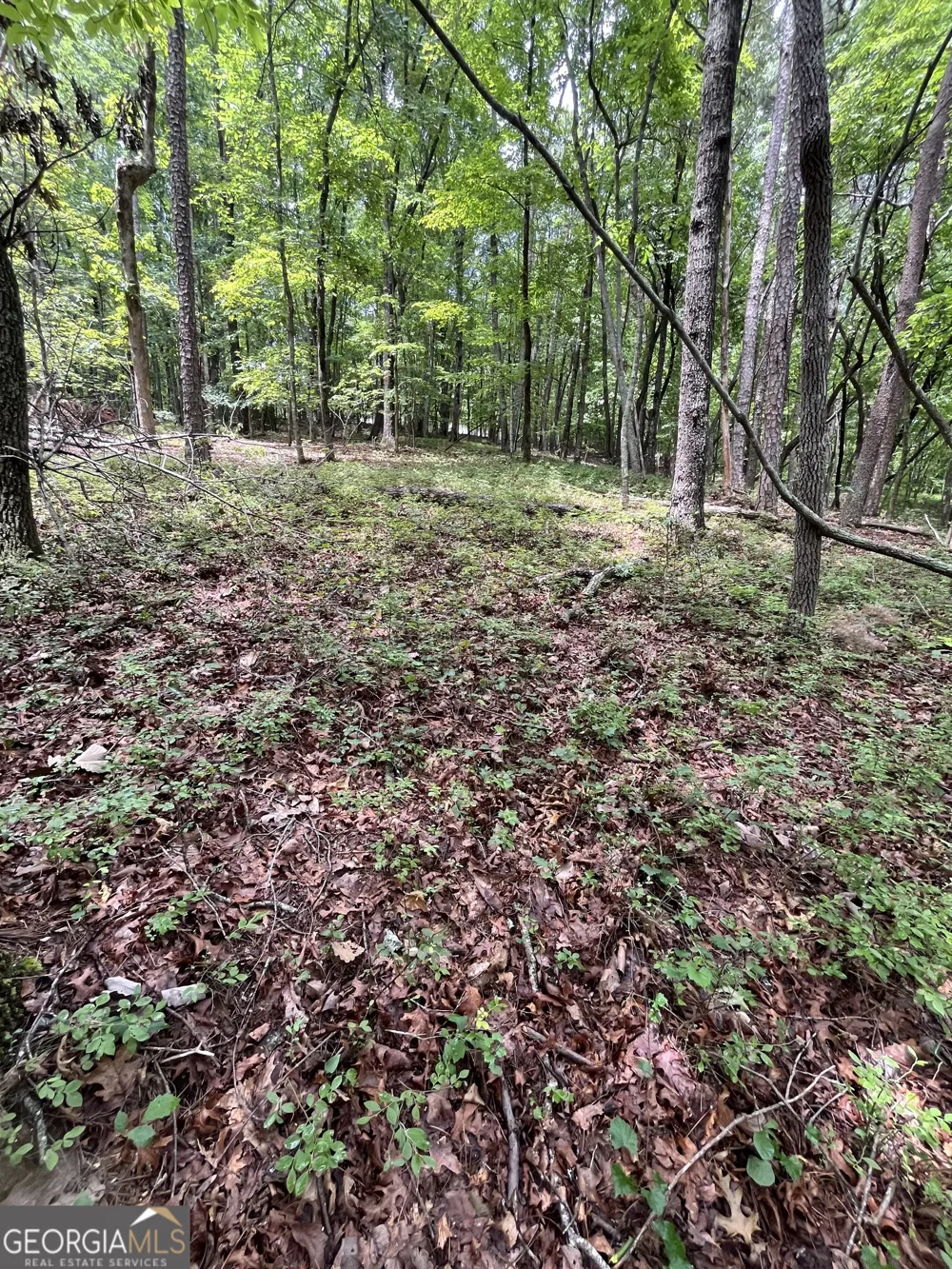 0 White Stone DR Cleveland, GA 30528